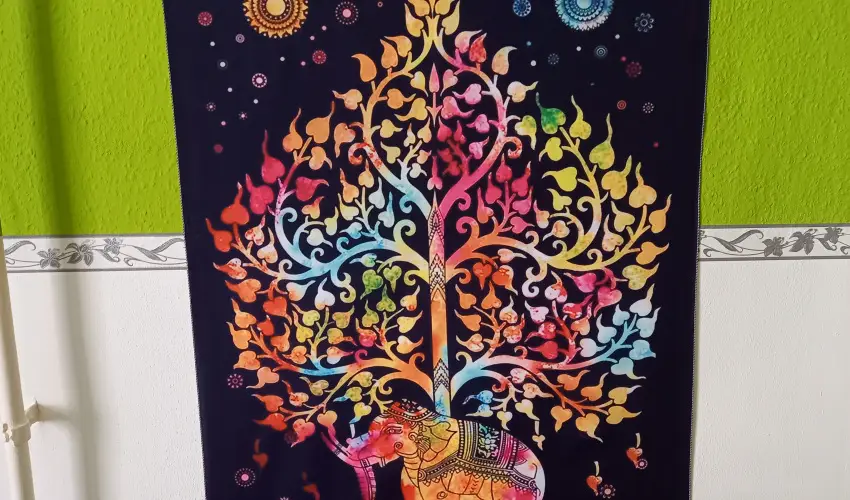 Gbor Vendghz Eger - Pnksd