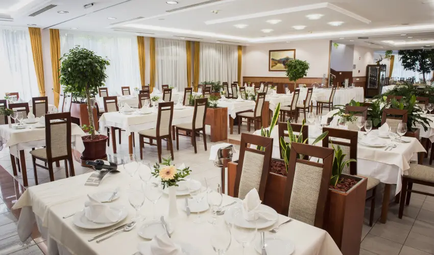 Garden Hotel Wellness & Konferencia Szolnok - Pnksd 