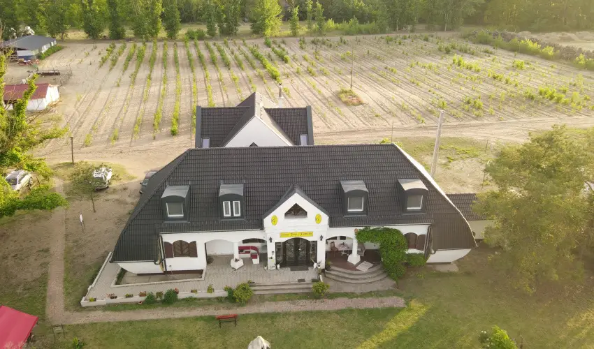 Gedeon Tanya-Panzi Jakabszlls - Pnksd