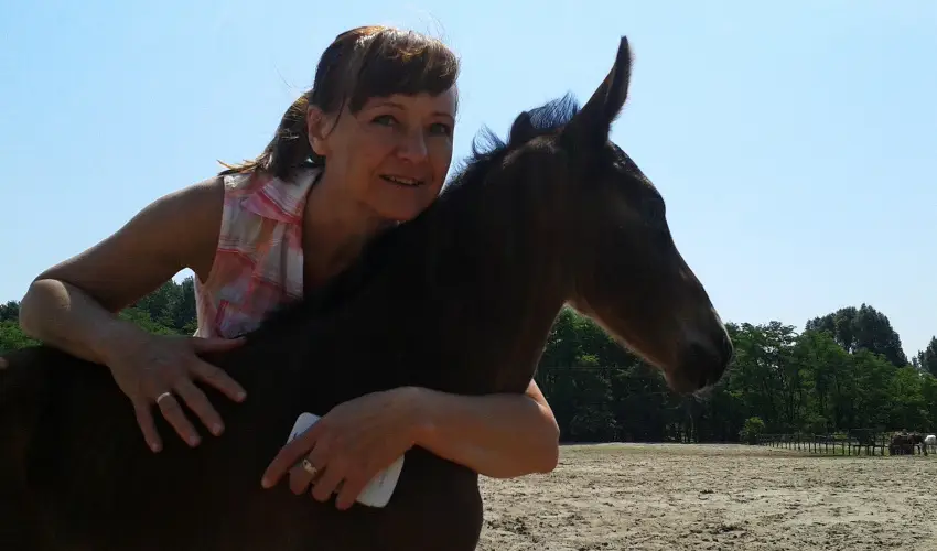 Geréby Kúria Hotel és Lovasudvar Lajosmizse - Pünkösd