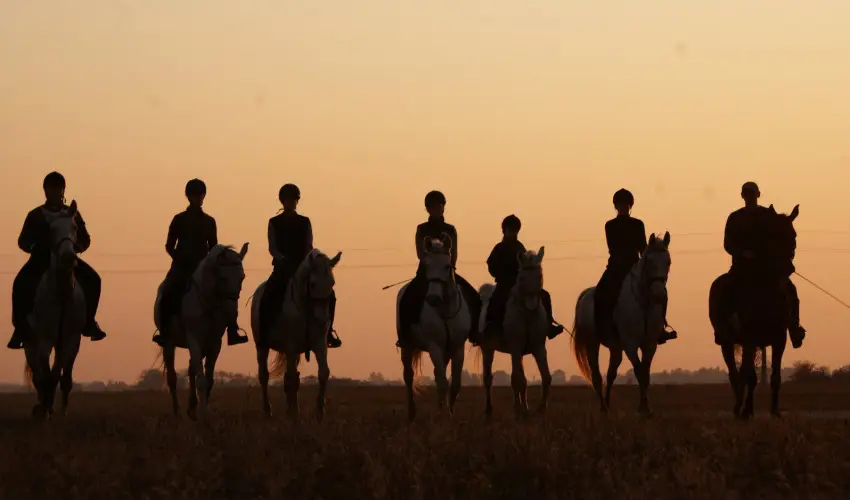 Geréby Kúria Hotel és Lovasudvar Lajosmizse - Pünkösd