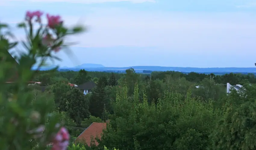 Mese Panzi Zalakaros - Pnksd (min. 2 j)