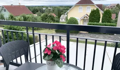 Mese Panzi Zalakaros