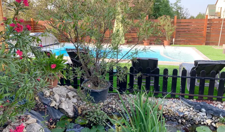 Mese Panzi Zalakaros - Pnksd (min. 2 j)