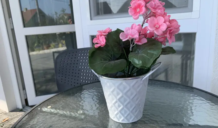 Mese Panzi Zalakaros - Pnksd (min. 2 j)