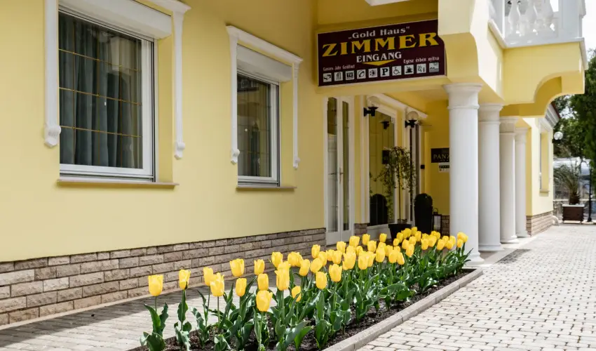 Gold Haus Panzi Balatonfred - Pnksd (min. 2 j)