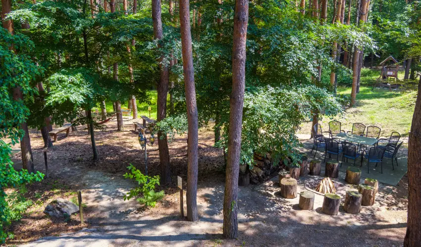 Gosztola Gy�ngye-az erd� sz�llod�ja Gosztola - P�nk�sd (min. 3 �j)