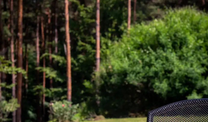 Gosztola Gy�ngye-az erd� sz�llod�ja Gosztola - P�nk�sd (min. 3 �j)