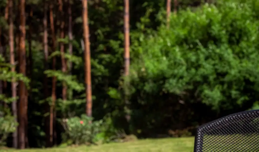 Gosztola Gy�ngye-az erd� sz�llod�ja Gosztola - P�nk�sd (min. 3 �j)