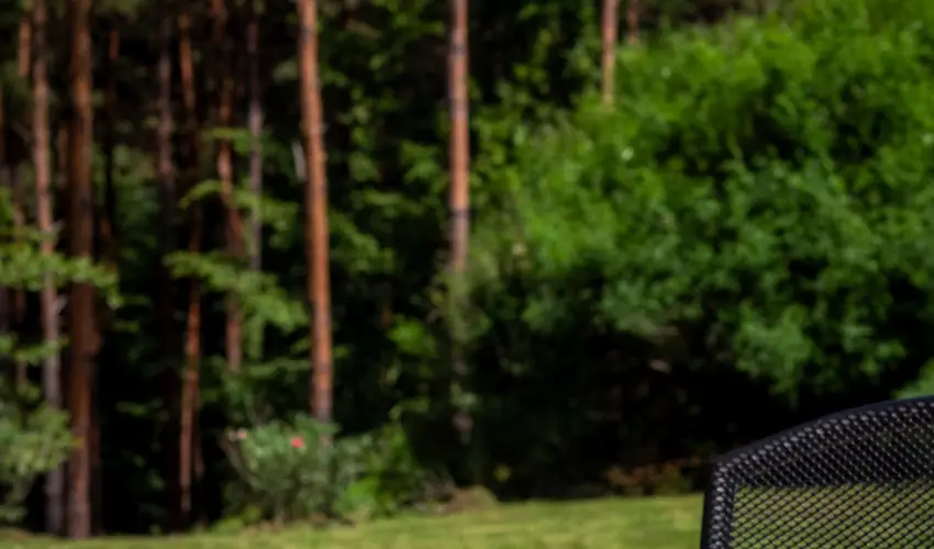 Gosztola Gy�ngye-az erd� sz�llod�ja Gosztola - P�nk�sd (min. 3 �j)