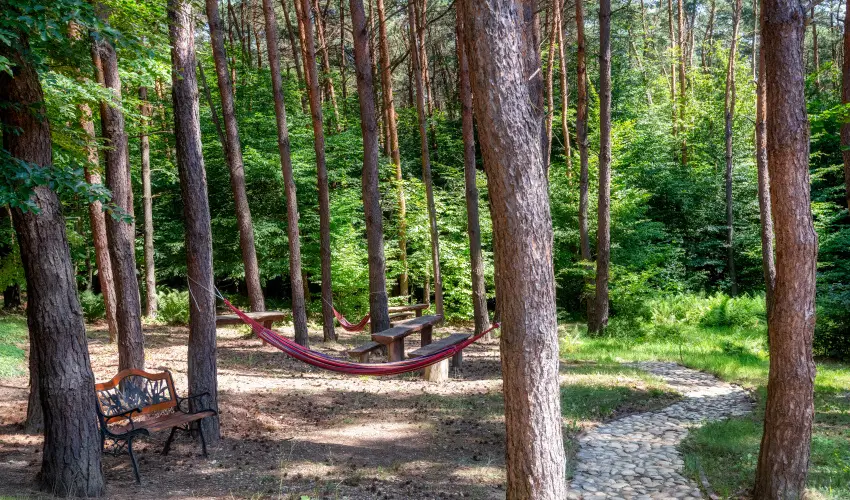 Gosztola Gy�ngye-az erd� sz�llod�ja Gosztola - P�nk�sd (min. 3 �j)