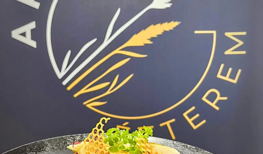 Gyirmt Sport & Wellness Hotel Gyr - Pnksd 