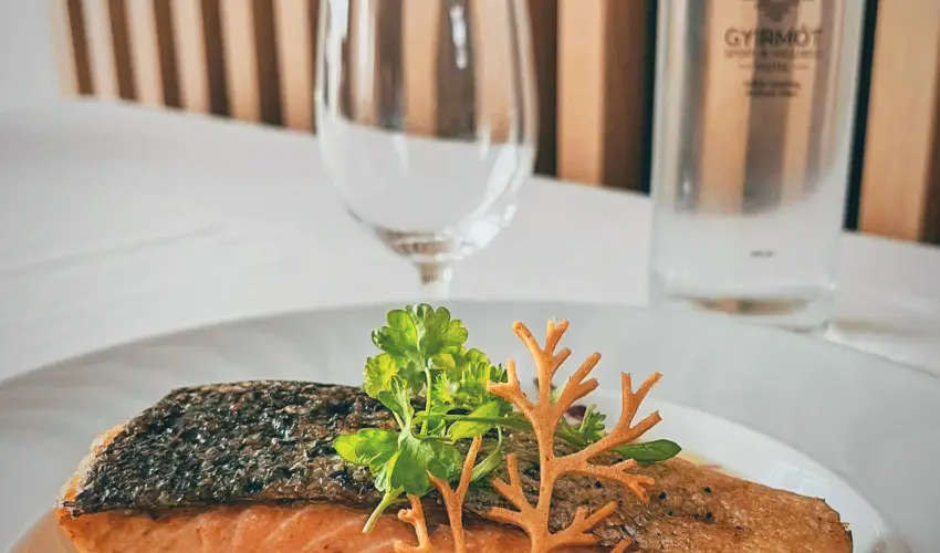 Gyirmt Sport & Wellness Hotel Gyr - Pnksd 