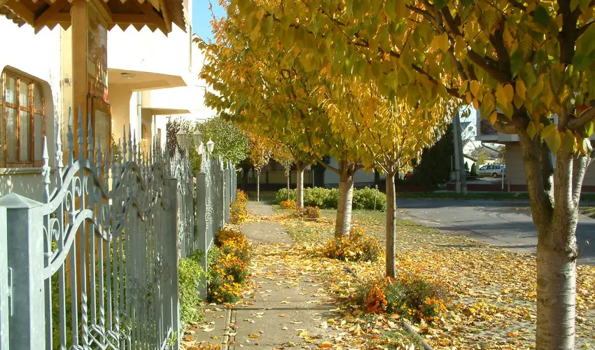 Hajd� Kast�ly Hotel Hajd�szoboszl� - P�nk�sd (min. 2 �j)