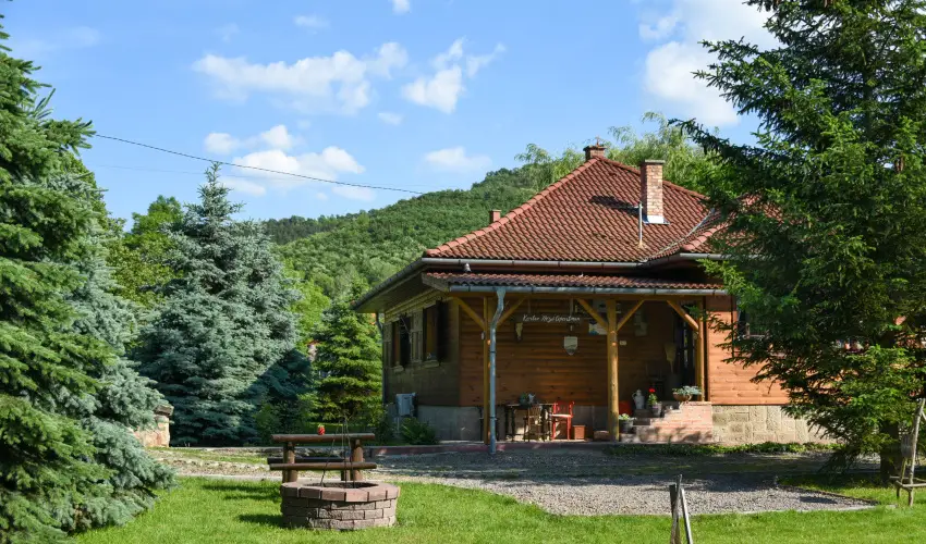 Halhza Vendghz Sirok - Pnksd (min. 2 j)