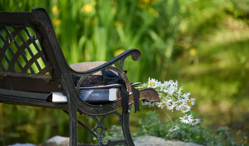 Halhza Vendghz Sirok - Pnksd (min. 2 j)