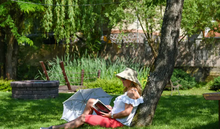 Halhza Vendghz Sirok - Pnksd (min. 2 j)