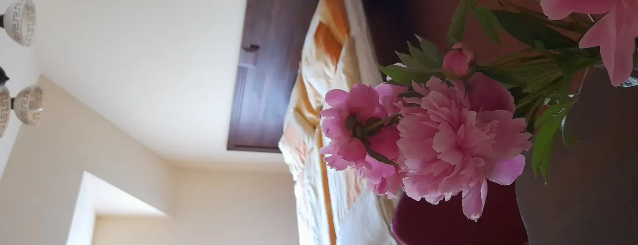 Aliz Villa Szilvsvrad - Pnksd (min. 3 j)
