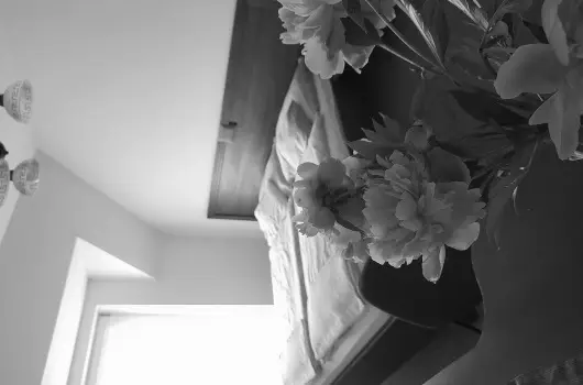 Aliz Villa - Pnksd (min. 2 j)