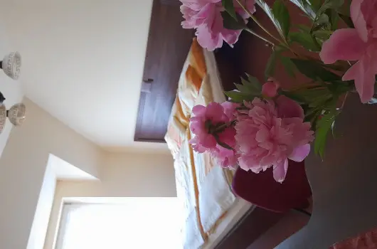 Aliz Villa - Pnksd (min. 2 j)