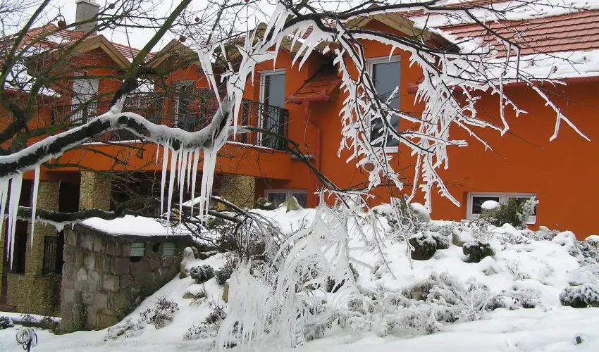 Aliz Villa Szilv�sv�rad - P�nk�sd (min. 2 �j)