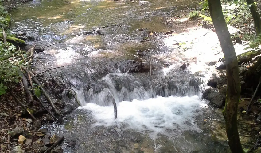 Aliz Villa Szilv�sv�rad - P�nk�sd (min. 2 �j)