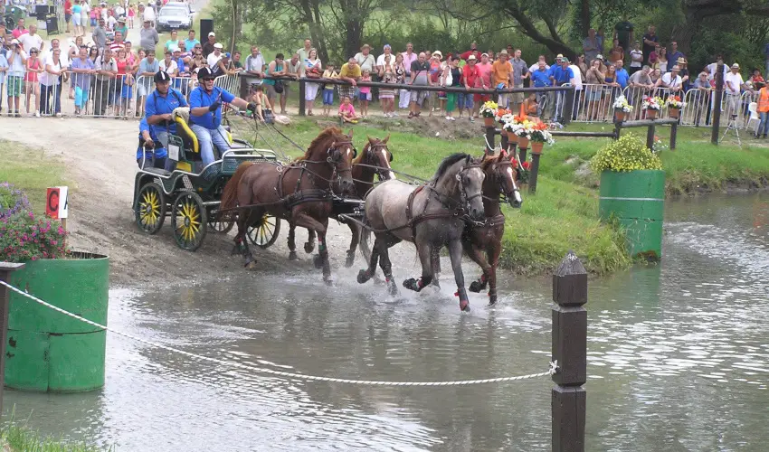 Aliz Villa Szilv�sv�rad - P�nk�sd (min. 2 �j)