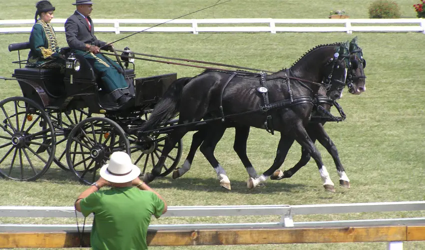 Aliz Villa Szilv�sv�rad - P�nk�sd (min. 2 �j)