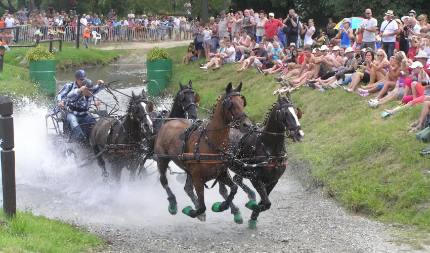 Aliz Villa Szilv�sv�rad - P�nk�sd (min. 2 �j)