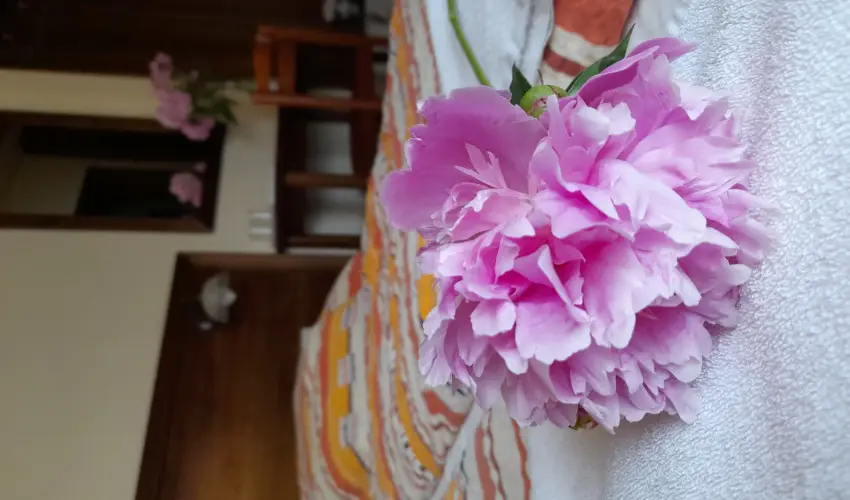 Aliz Villa Szilv�sv�rad - P�nk�sd (min. 2 �j)