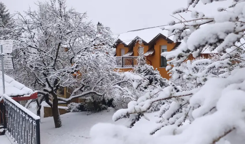 Aliz Villa Szilv�sv�rad - P�nk�sd (min. 2 �j)