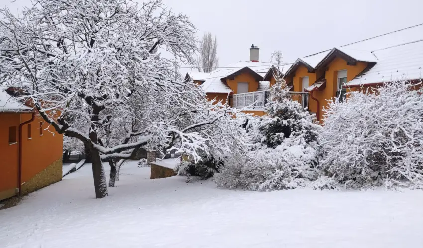 Aliz Villa Szilv�sv�rad - P�nk�sd (min. 2 �j)