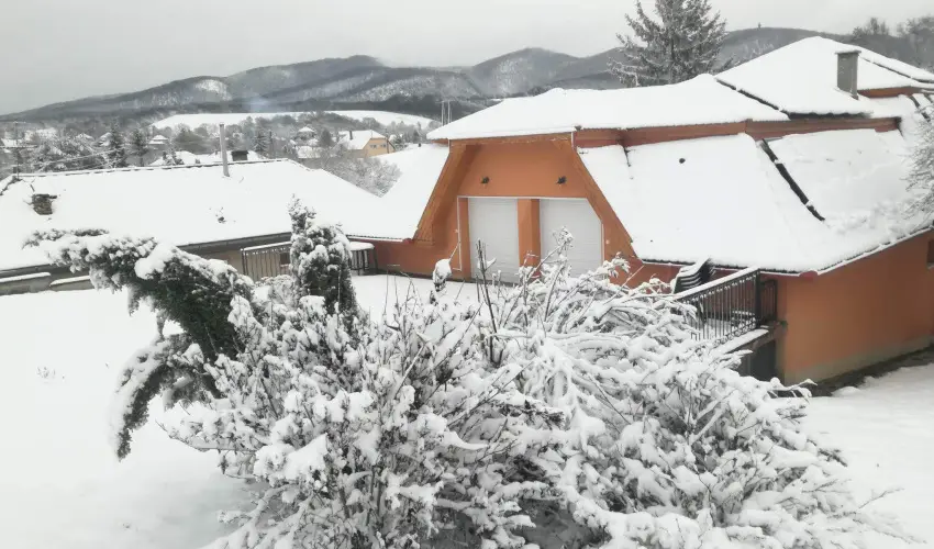 Aliz Villa Szilv�sv�rad - P�nk�sd (min. 2 �j)