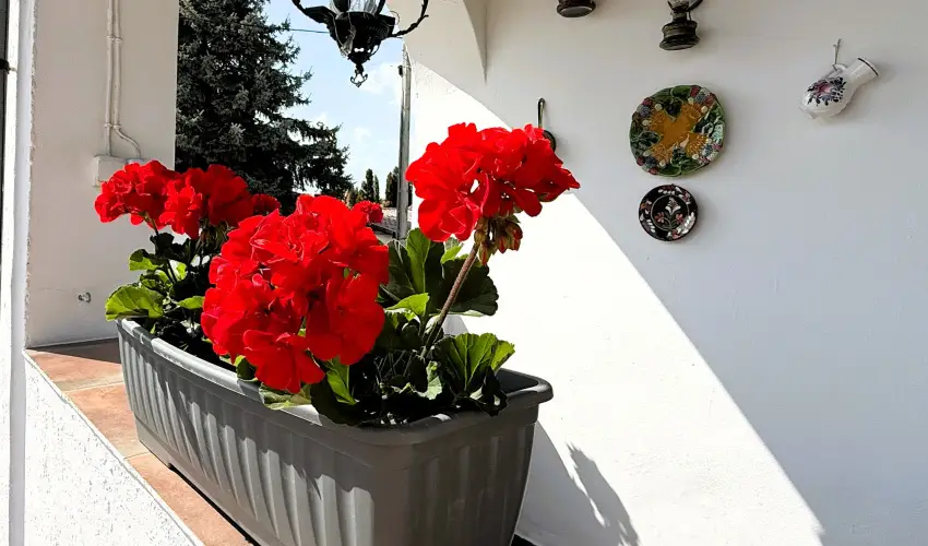 Harmony Vendghz Egerszalk - Pnksd (min. 2 j)