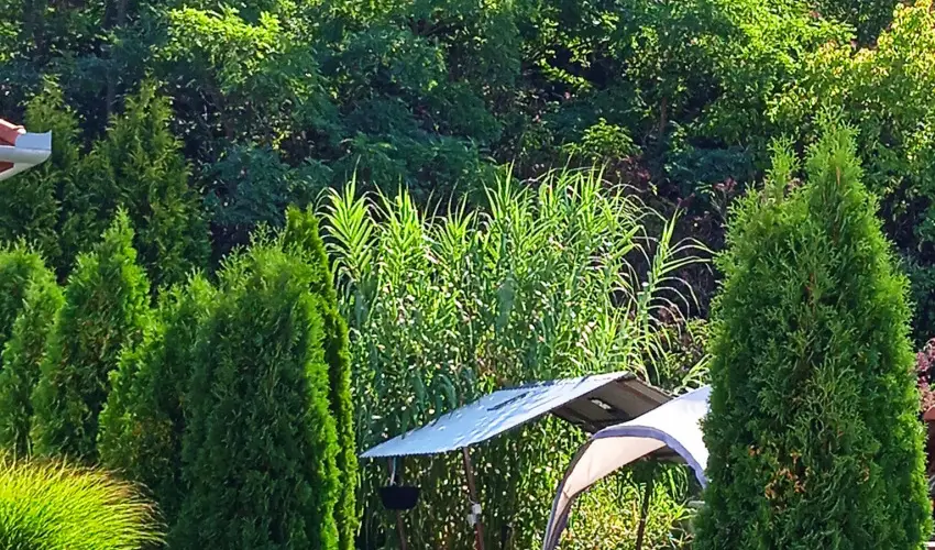 Harmony Vendghz Egerszalk - Pnksd (min. 2 j)