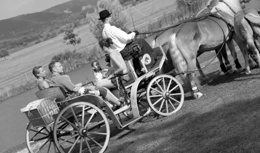 H�tk�ti Wellness Hotel & Lovaspark M�r - P�nk�sd