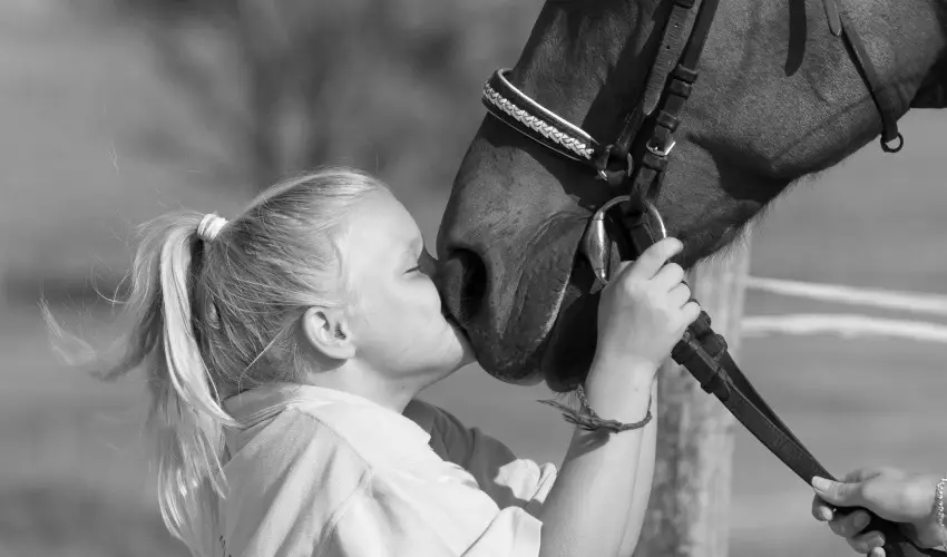 H�tk�ti Wellness Hotel & Lovaspark M�r - P�nk�sd