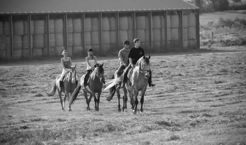 H�tk�ti Wellness Hotel & Lovaspark M�r - P�nk�sd