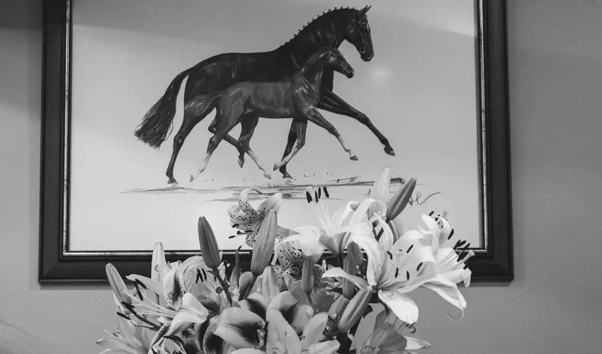 H�tk�ti Wellness Hotel & Lovaspark M�r - P�nk�sd