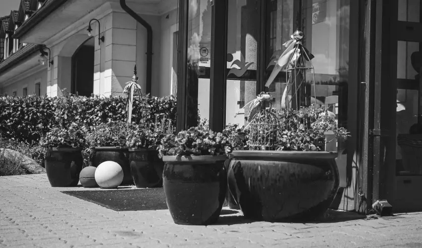 H�tk�ti Wellness Hotel & Lovaspark M�r - P�nk�sd