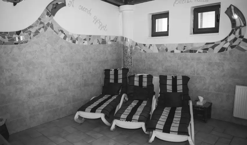 H�tk�ti Wellness Hotel & Lovaspark M�r - P�nk�sd