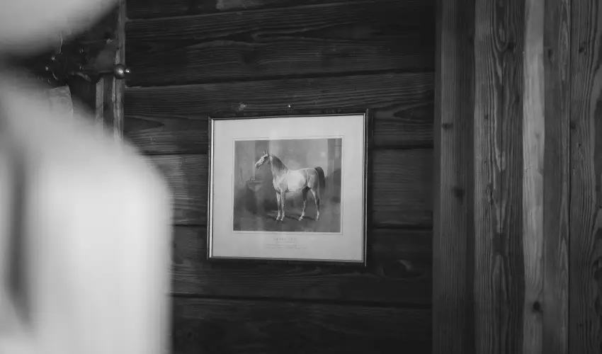 H�tk�ti Wellness Hotel & Lovaspark M�r - P�nk�sd