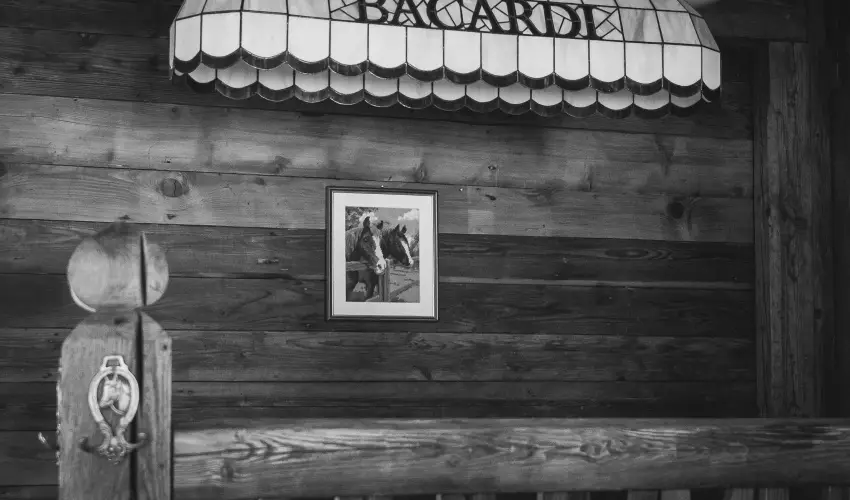 H�tk�ti Wellness Hotel & Lovaspark M�r - P�nk�sd