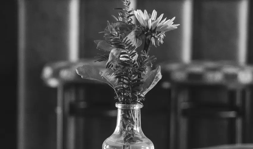 H�tk�ti Wellness Hotel & Lovaspark M�r - P�nk�sd