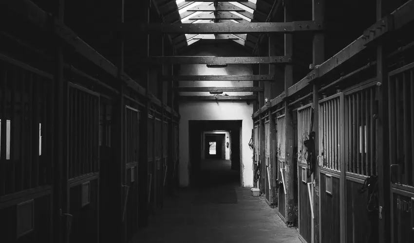 H�tk�ti Wellness Hotel & Lovaspark M�r - P�nk�sd