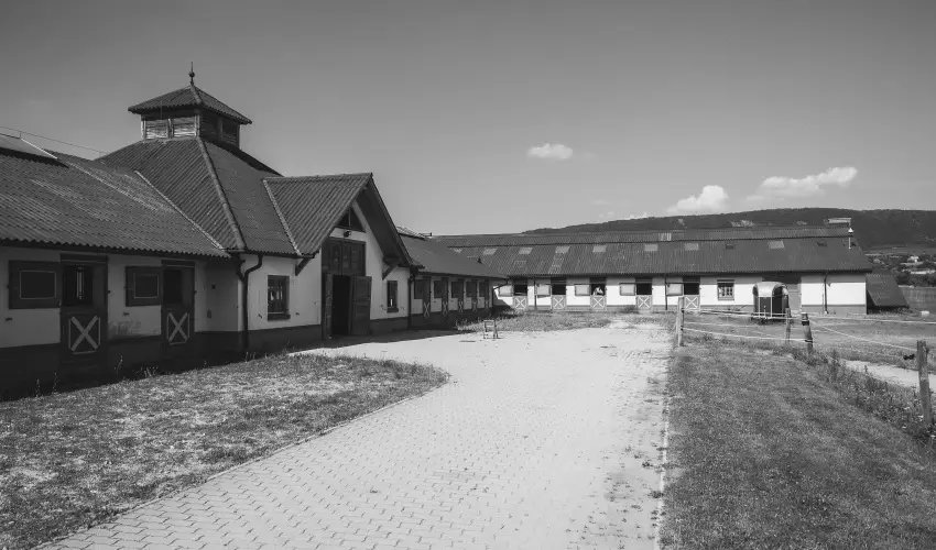 H�tk�ti Wellness Hotel & Lovaspark M�r - P�nk�sd