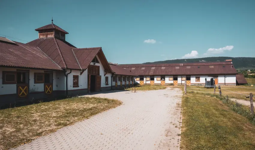 Hétkúti Wellness Hotel & Lovaspark Mór - Pünkösd