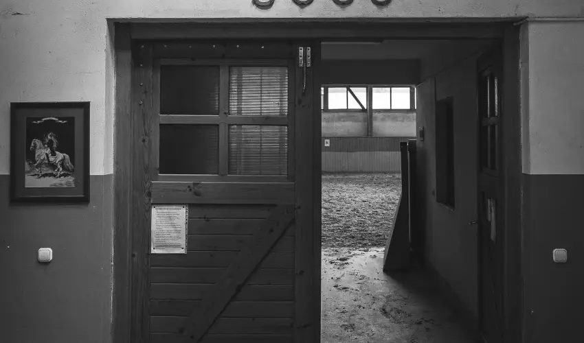 H�tk�ti Wellness Hotel & Lovaspark M�r - P�nk�sd