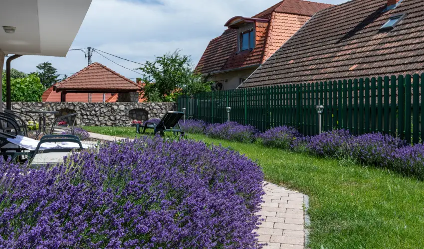 Holiday Club Apartman Hotel H�v�z H�v�z - P�nk�sd (min. 2 �j)