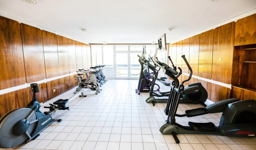 Holiday Hotel Csopak Csopak - Pnksd 